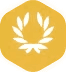 Product Hunt Golden Kitty Awards 2020 winner